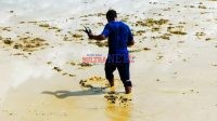 Sendimen Lumpur Bekas Tambang Emas di Sawah Warga
