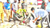 Plt. Bupati Kolaka, H. Muh. Jayadin, SE.,ME saat melakukan penanaman pohon pelindung