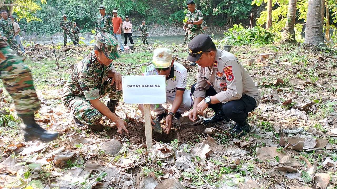 Danramil Kabaena, Wakapolsek Kabaena dan Camat Kabaena Laksanakan penanaman Pohon di Bantaran Sungai Lakambula 