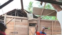 BPBD Bombana memeriksa kondisi rumah yang rusak parah