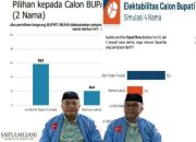 Ilustrasi Pasangan RahmatNya Muna