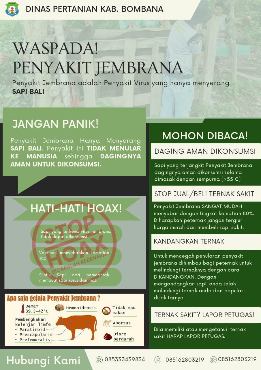 Imbauan Dinas Pertanian Bombana