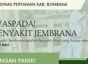 Imbauan Dinas Pertanian Bombana