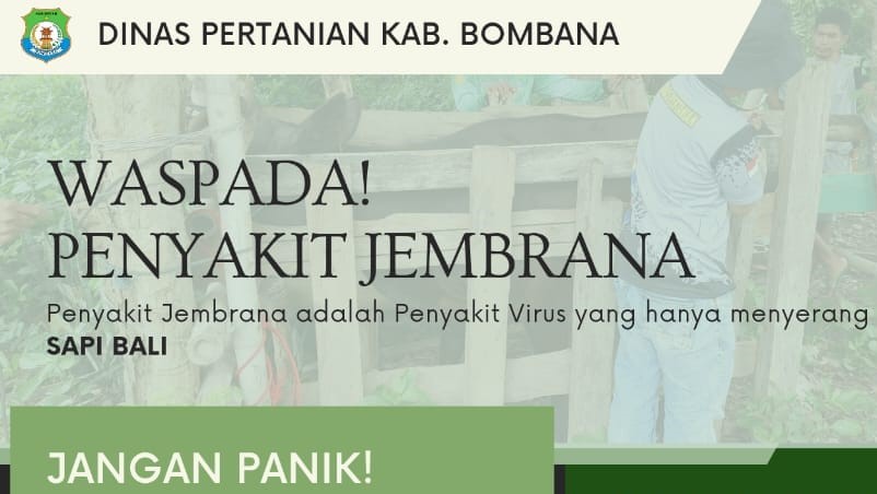 Imbauan Dinas Pertanian Bombana