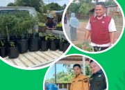 Dinas Pertanian Membagikan Bibit dan Benih ke Warga