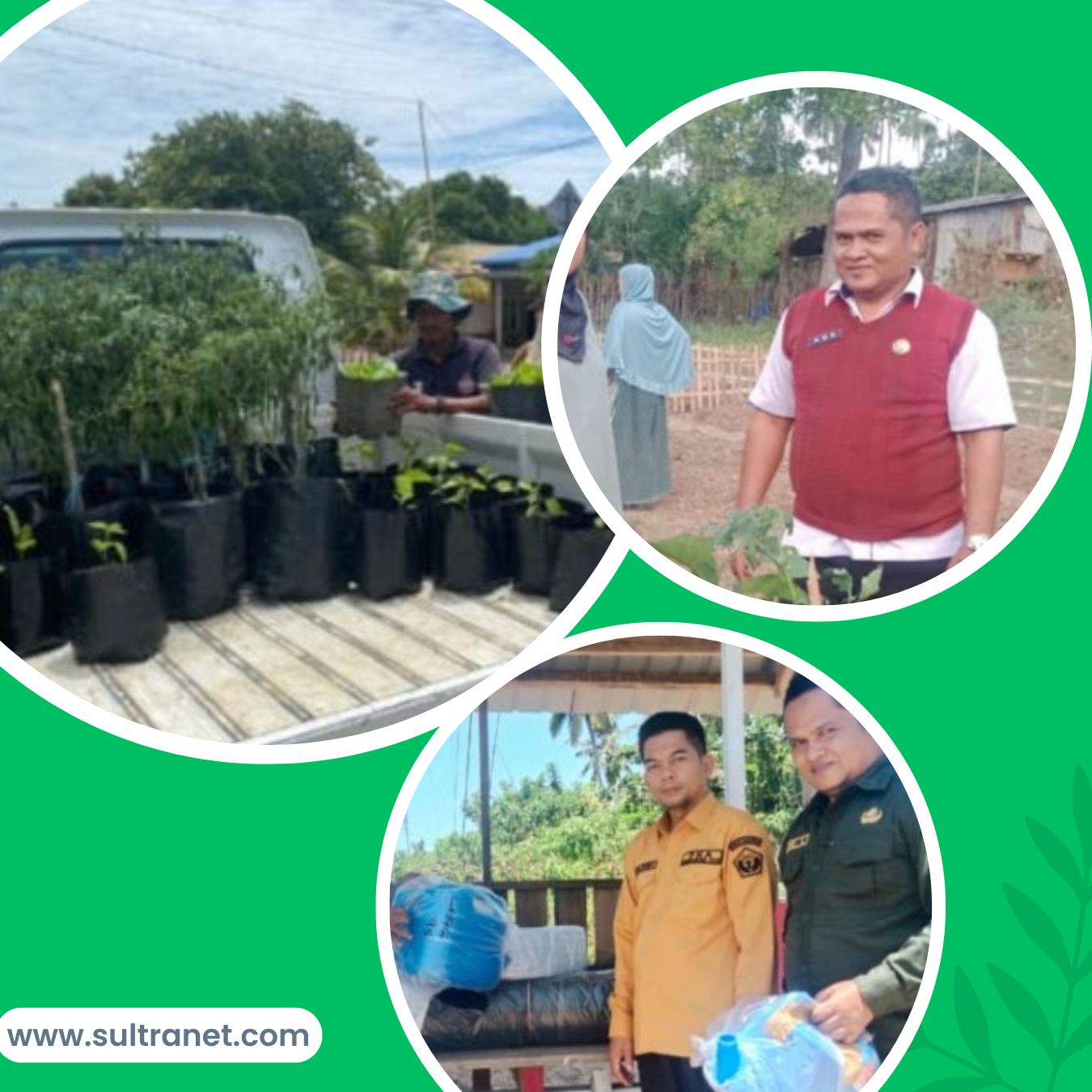 Dinas Pertanian Membagikan Bibit dan Benih ke Warga