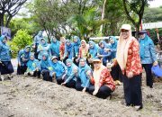 Pengurus TP-PKK Kolut saat melakukan penanaman sayur