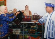 Penjabat (Pj) Gubernur Sulawesi Tenggara, Andap Budhi Revianto, mengunjungi Kampung Tenun Masalili