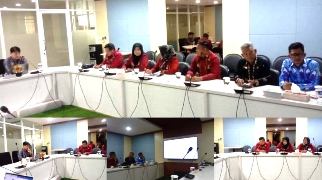 DP3A Bombana Konsultasi ke Bappenas dan Kementerian PPPA