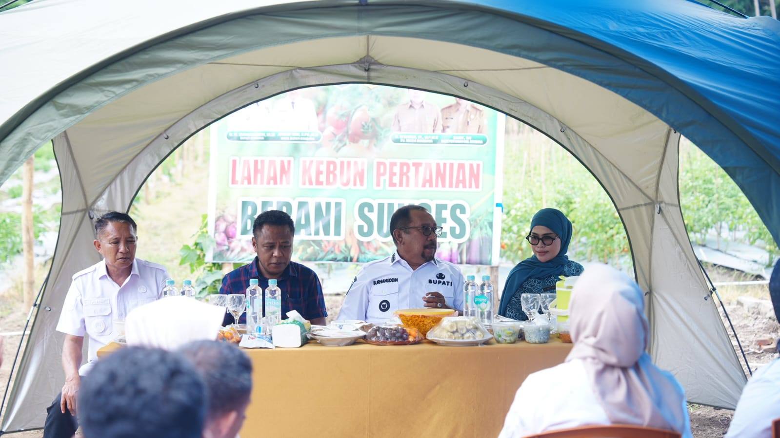 Bupati Bombana Burhanudin bersama Ketua TP PKK Fatmawati Kasim Marewa melakukan panen tomat di BPP Rumbia sebagai bentuk dukungan pemerintah daerah terhadap pengembangan pertanian hortikultura dan ketahanan pangan di Kabupaten Bombana.