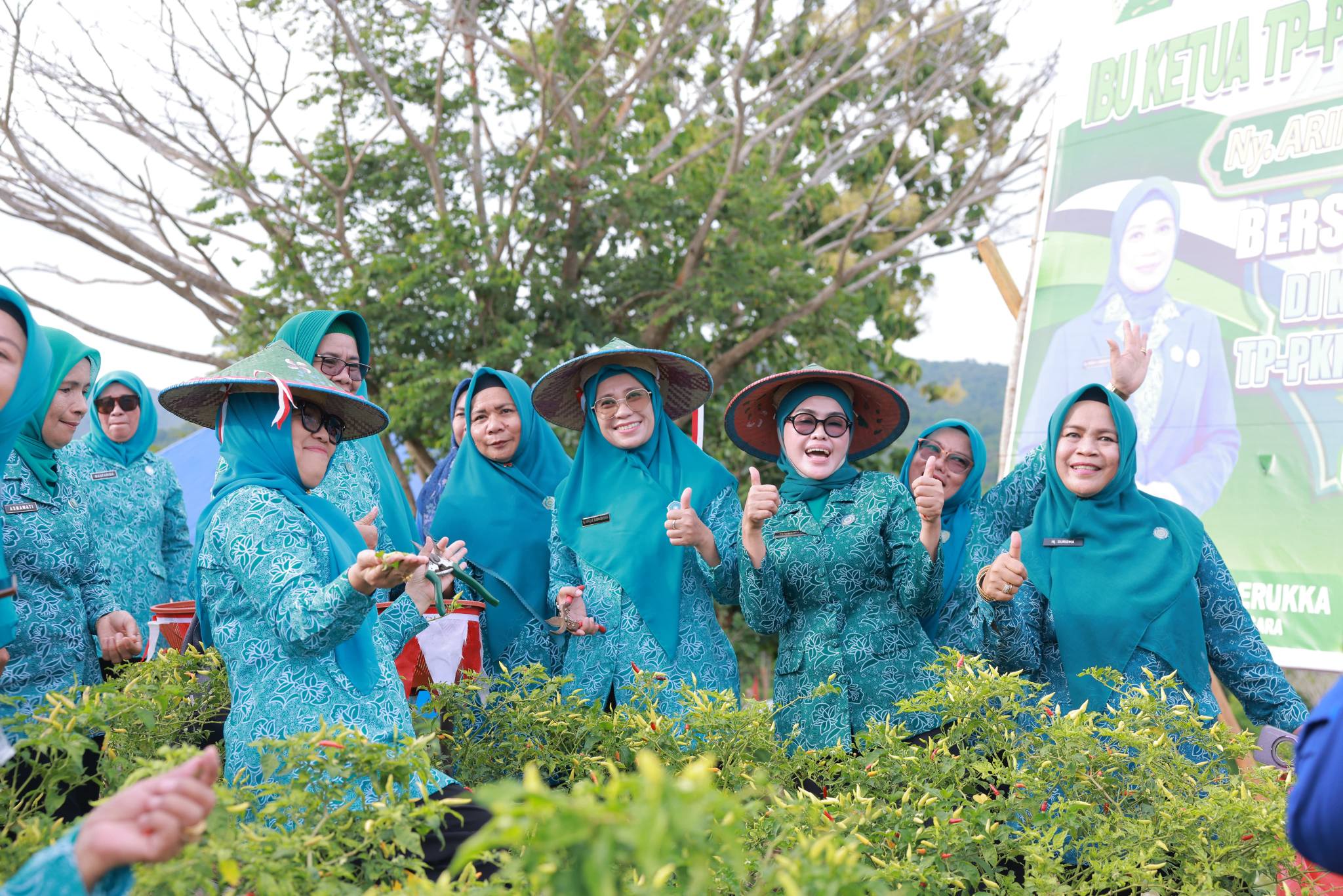 Ketua TP PKK Sulawesi Tenggara Ny. Arinta Nila Hapsari A. Sumangerukka bersama Bupati Bombana melakukan panen bersama di Kebun PKK Bombana untuk mendorong ketahanan pangan keluarga dan pemanfaatan lahan pekarangan secara produktif.