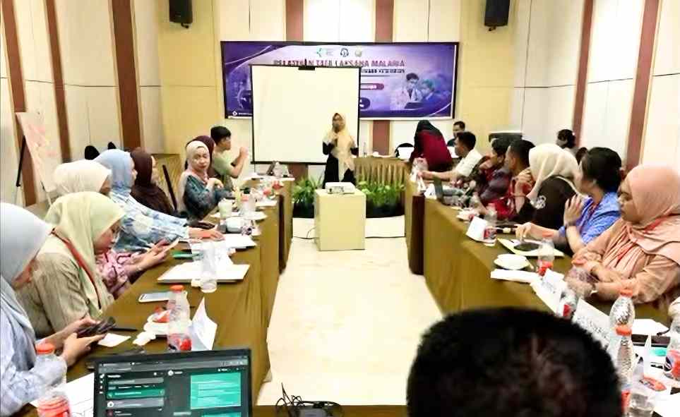Suasana penyampaian materi dalam Pelatihan Tata Laksana Malaria bagi dokter umum dan programmer malaria puskesmas