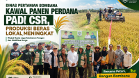 Dinas Pertanian Bombana mengawal pelaksanaan panen perdana padi sawah program CSR di Rarowatu Utara sebagai langkah nyata mendukung ketahanan pangan serta menjaga ketersediaan beras bagi masyarakat. Dinas Pertanian Bombana mengawal pelaksanaan panen perdana padi sawah program CSR di Rarowatu Utara sebagai langkah nyata mendukung ketahanan pangan serta menjaga ketersediaan beras bagi masyarakat.