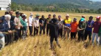 BPBD Bombana meninjau dampak kekeringan di Kecamatan Lantari Jaya dan Rarowatu Utara. Pemerintah daerah mengerahkan sejumlah OPD untuk memperkuat koordinasi dan mencari solusi bagi masyarakat terdampak.