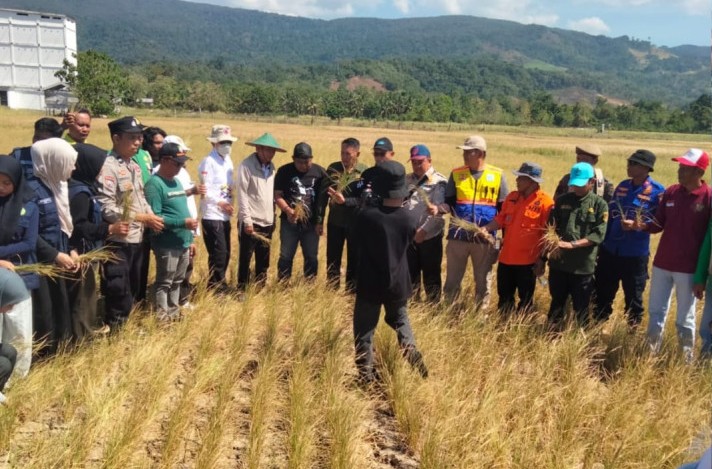 BPBD Bombana meninjau dampak kekeringan di Kecamatan Lantari Jaya dan Rarowatu Utara. Pemerintah daerah mengerahkan sejumlah OPD untuk memperkuat koordinasi dan mencari solusi bagi masyarakat terdampak.