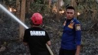 Damkar Satpol PP Bombana memadamkan kebakaran lahan di dekat Kantor DPRD Bombana, Desa Lantawonua. Api berhasil dipadamkan tanpa korban jiwa maupun kerugian materiil.