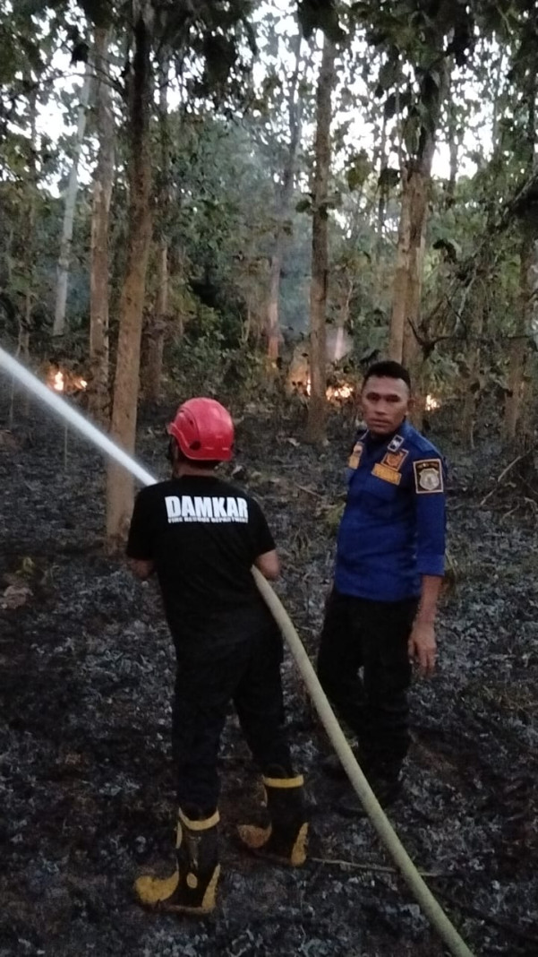 Damkar Satpol PP Bombana memadamkan kebakaran lahan di dekat Kantor DPRD Bombana, Desa Lantawonua. Api berhasil dipadamkan tanpa korban jiwa maupun kerugian materiil.