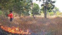 BPBD Bombana menangani kebakaran lahan di Desa Watu-Watu dan Wumbubangka. Masyarakat diminta waspada karena Bombana masih siaga darurat kebakaran lahan.