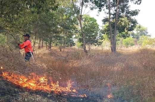 BPBD Bombana menangani kebakaran lahan di Desa Watu-Watu dan Wumbubangka. Masyarakat diminta waspada karena Bombana masih siaga darurat kebakaran lahan.