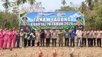 Dinas Pertanian Bombana mempercepat penanaman jagung Kuartal IV 2026 di Rumbia melalui kolaborasi pemerintah, TNI-Polri, penyuluh dan petani untuk mendukung ketahanan pangan.