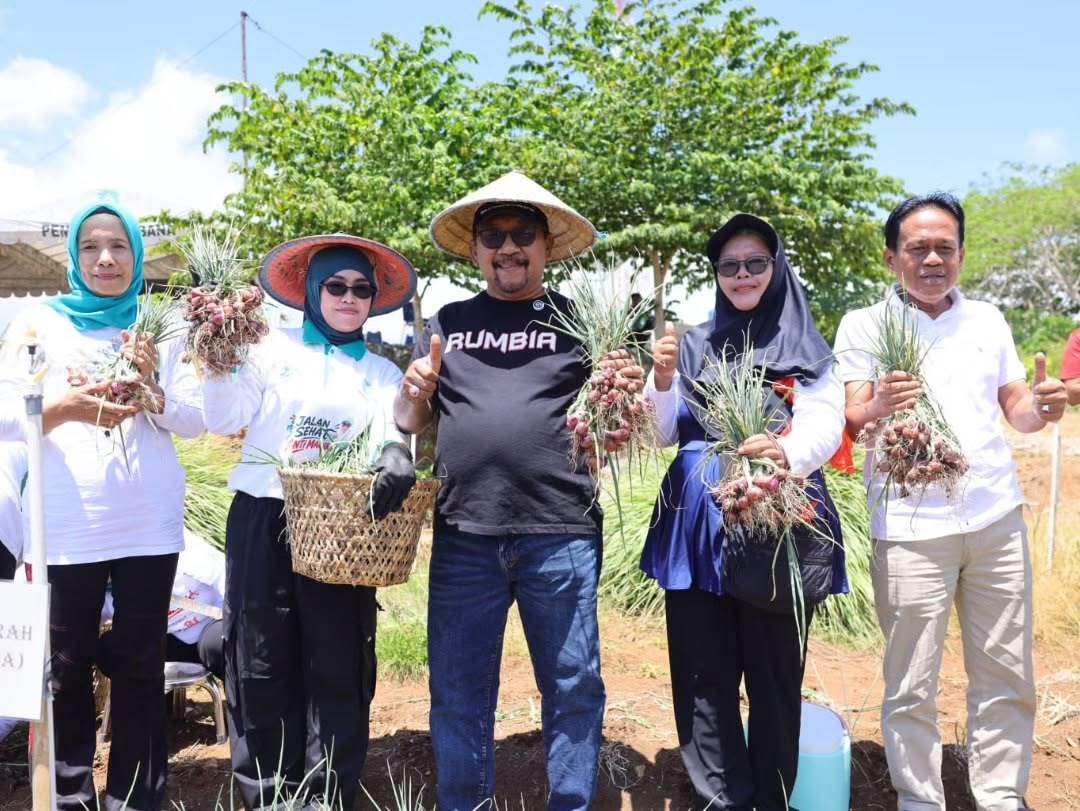 Bupati Bombana Burhanuddin panen perdana bawang merah di Desa Watukalangkari. Demplot menunjukkan hasil 9 hingga 12 umbi anakan per tanaman.